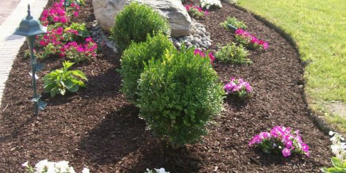 Landscaping, Landscaping Company, Landscaping Contractor, Landscaping Company Landscaping, Landscaping Company, Landscaping Contractor, Landscaping Company