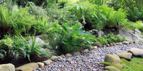 Landscaping, Landscaping Company, Landscaping Contractor, Landscaping Company Landscaping, Landscaping Company, Landscaping Contractor, Landscaping Company